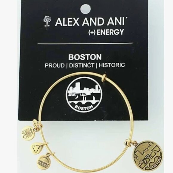 Alex and Ani Boston Gold Dangle Bracelet - Picture 1 of 1